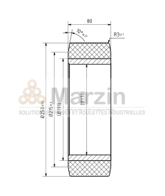 BANDAGE PEVOPUR® 250/080/170 ZL