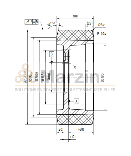 ROUE PEVOPUR®  254/100/210/80-5T