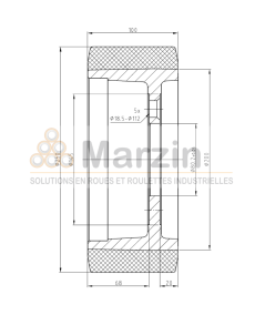 ROUE VULKOLLAN® 250/100/200/80,2-5T