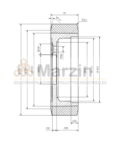ROUE TRACTOTHAN® 250/075/200/80-5T