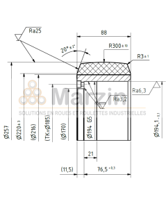 ROUE TRACTOTHAN® 257/088/170-10T